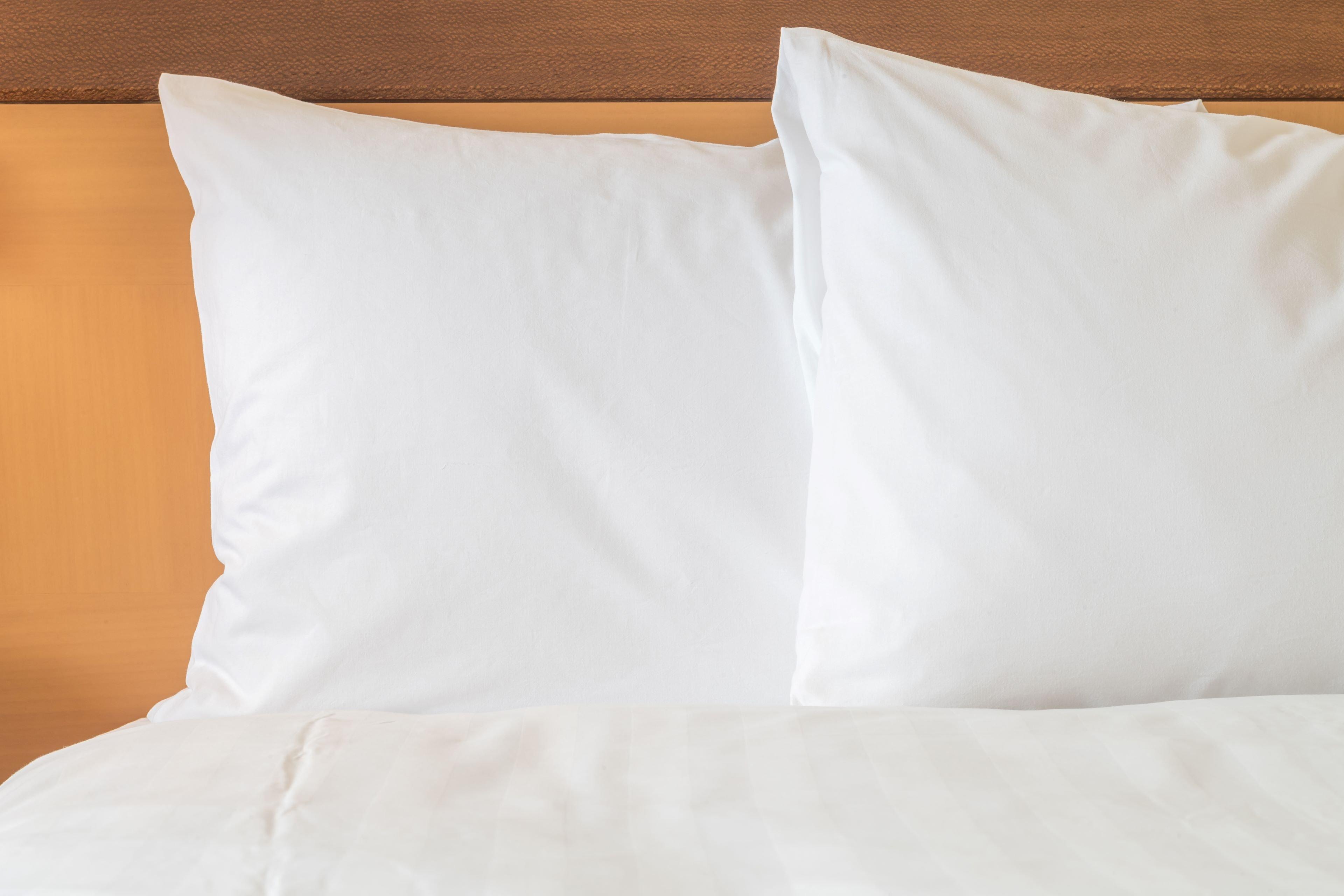 Holiday Inn Express Hotel & Suites Knoxville By Ihg Buitenkant foto